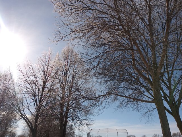 20190209_110011.jpg