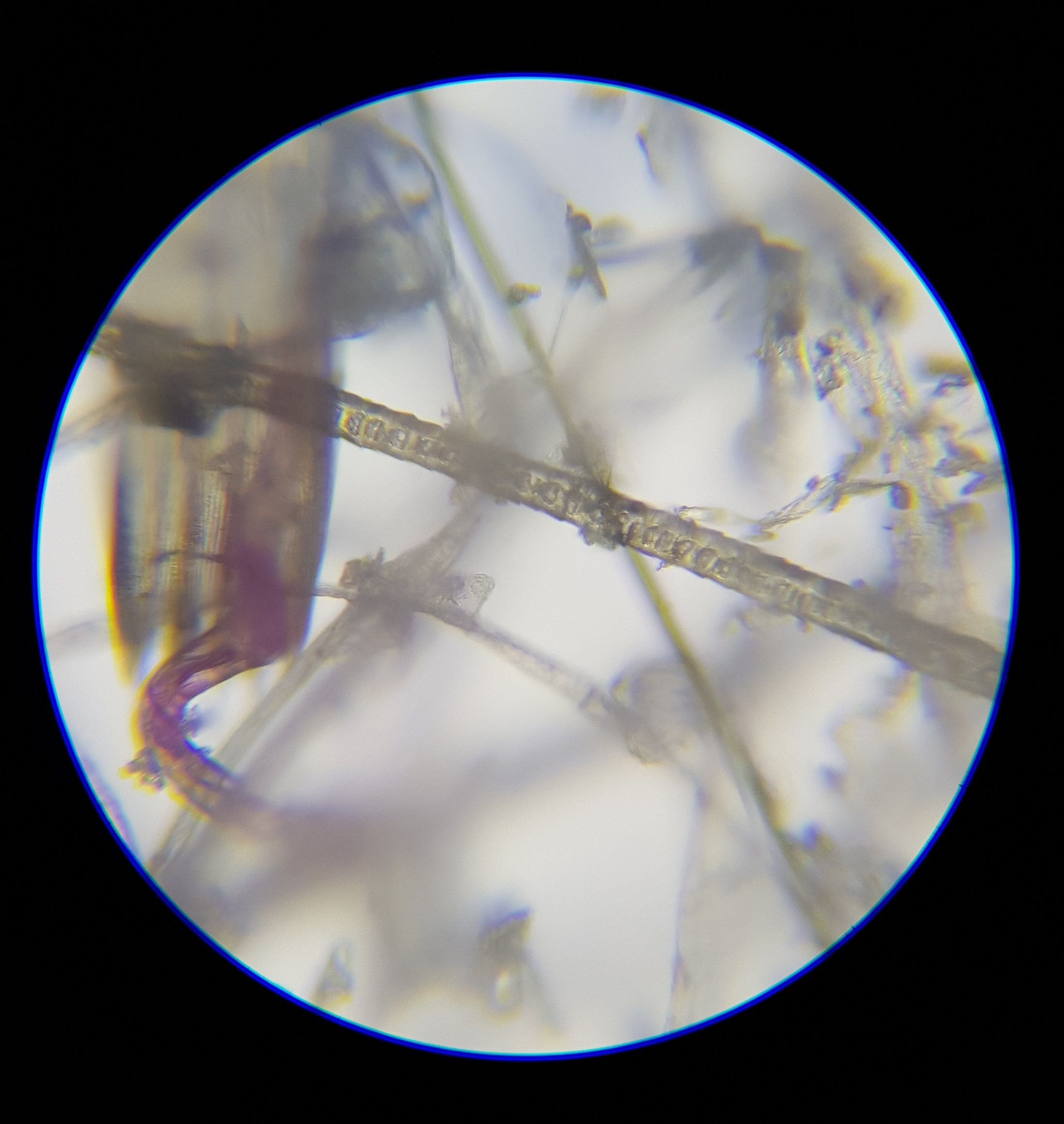 20180423_173604.jpg
