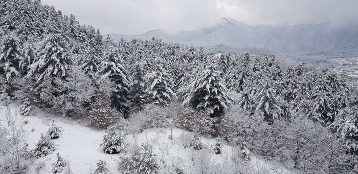 20181124_111041.jpg