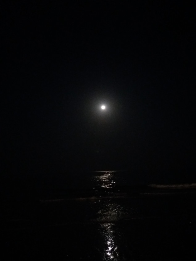 20181222_184813.jpg