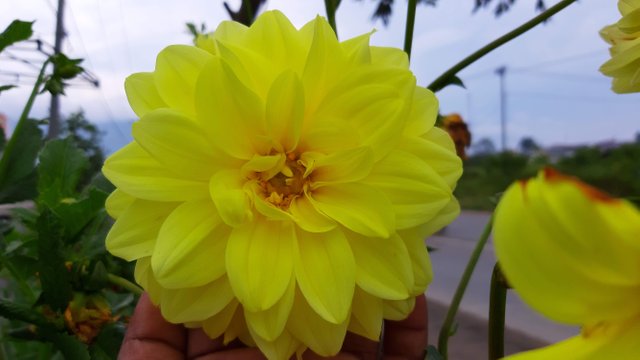 20191021_084701.jpg