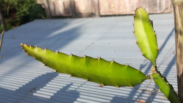 20260814_164915.jpg