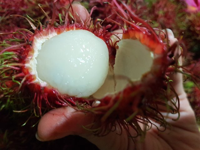 20180808_173524.jpg