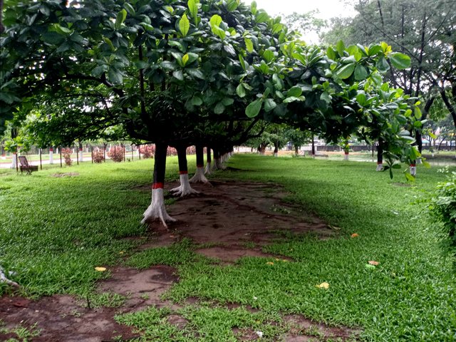 20220530_201209.jpg
