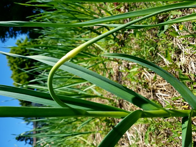 20180612_110323.jpg