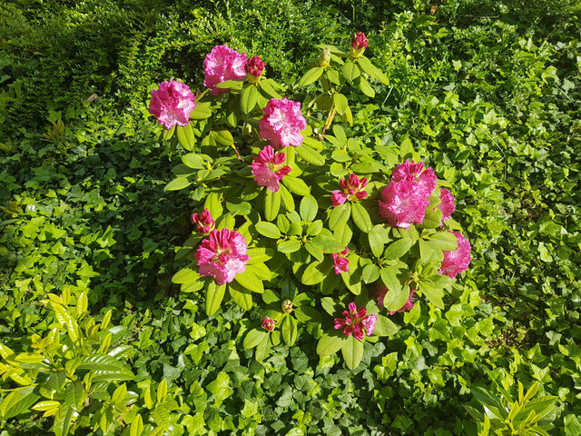 20180502_093034.jpg
