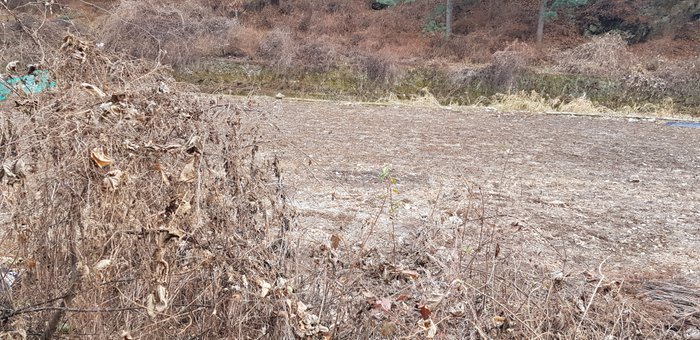 20181202_162709.jpg