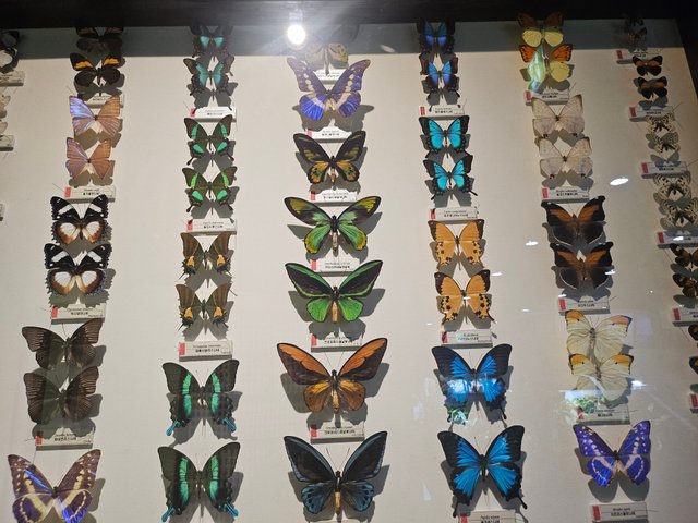 20251004_161702.jpg
