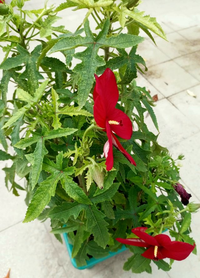 20220906_002342.jpg