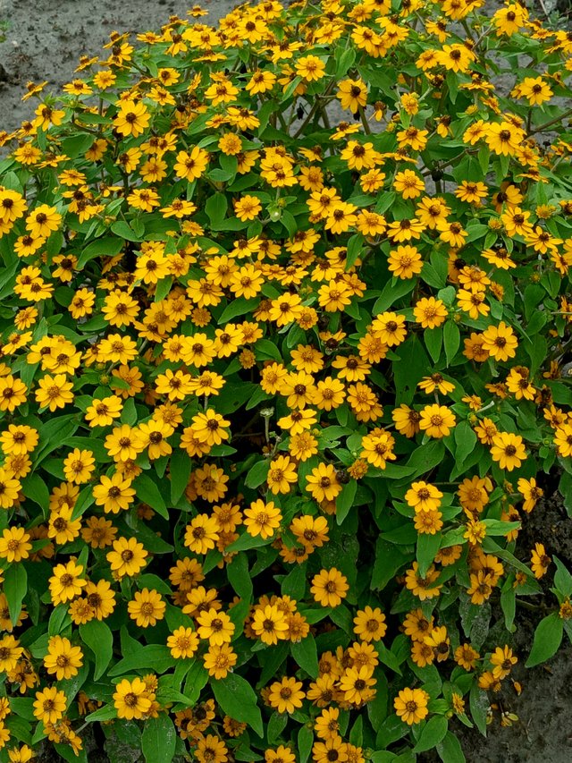 20220731_102602.jpg