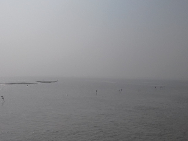 20171216_104157.jpg