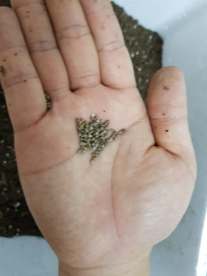 20180507_114003.jpg