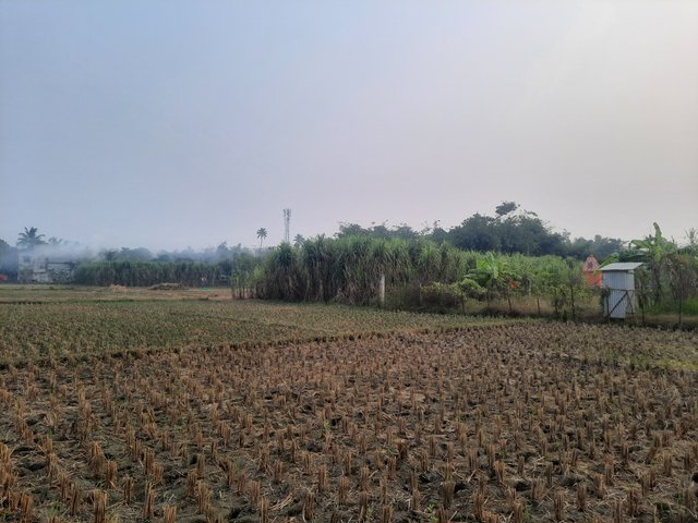 20241126_160711.jpg