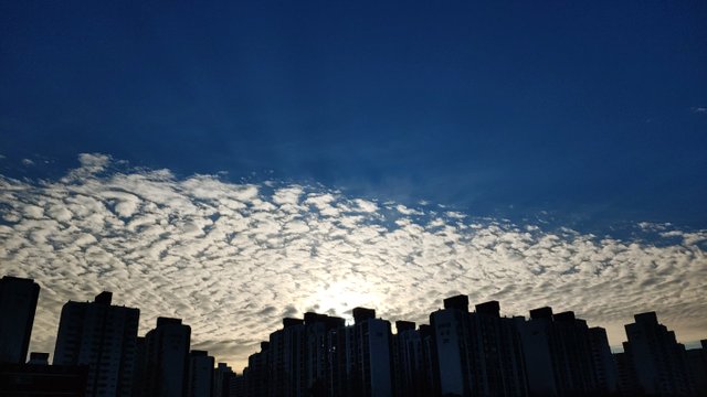20201208_083906.jpg