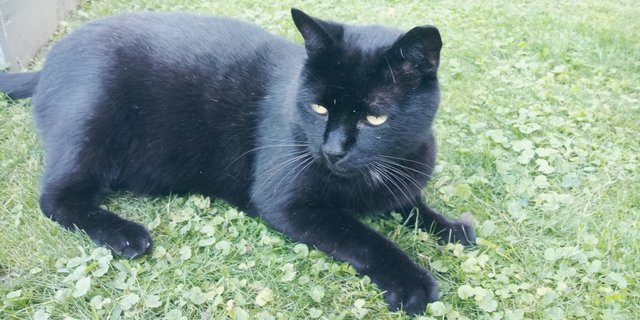 20200820_170017.jpg