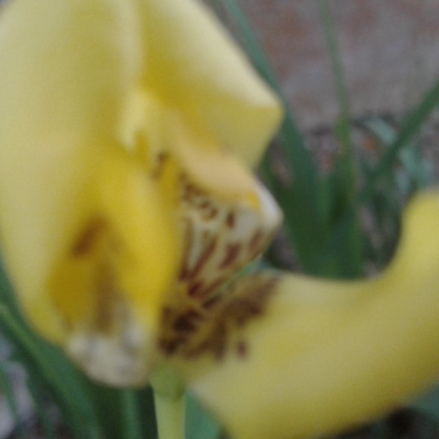 20240528_082505.jpg