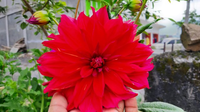 20191021_084721.jpg