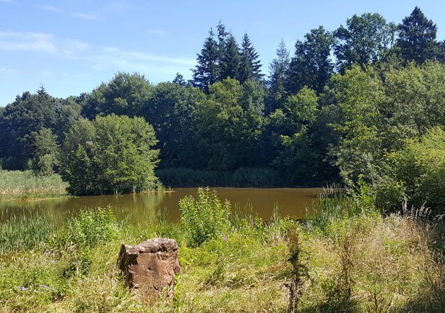20180703_111318.jpg