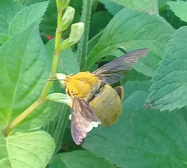 20180912_133003.jpg