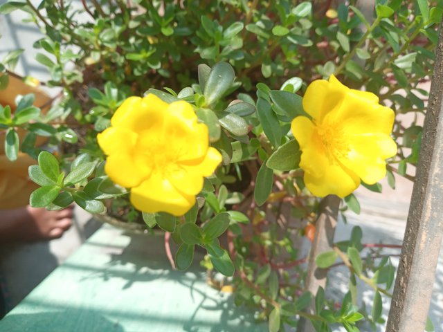 20230223_100330.jpg