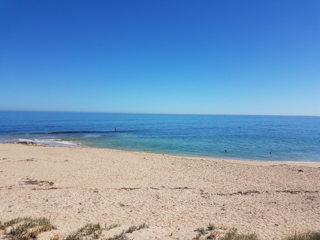 20180403_101018.jpg