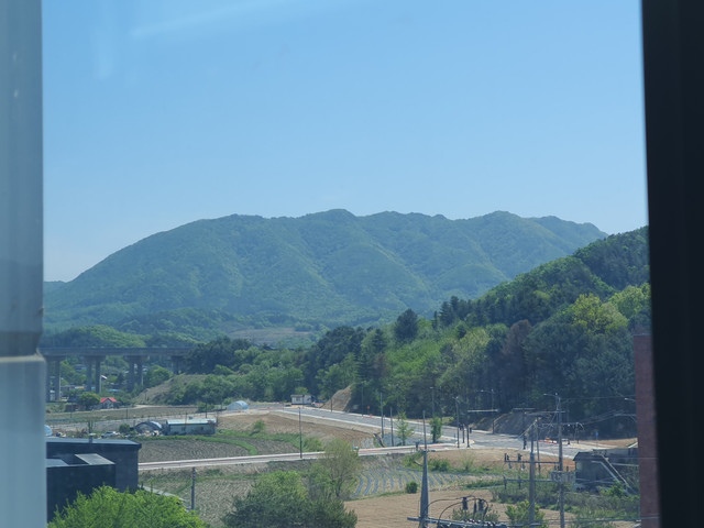 20260501_115905.jpg