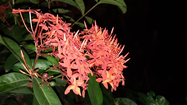 20180730_225129.jpg