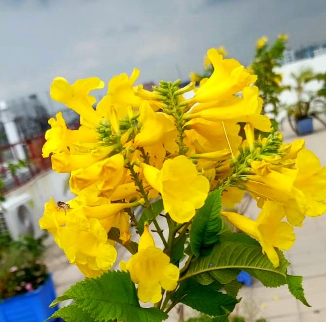 20220906_064620.jpg