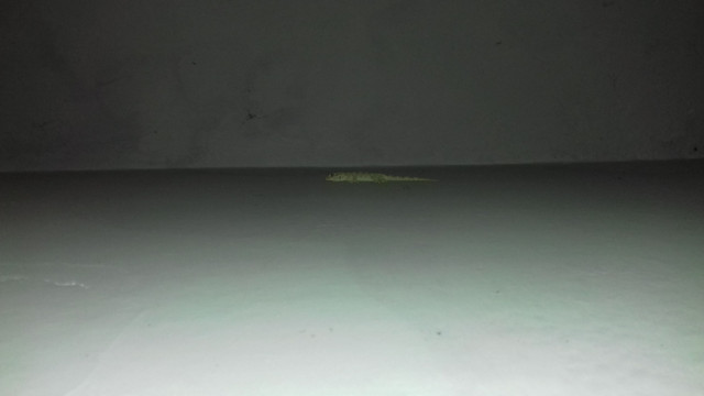 20170808_205608.jpg