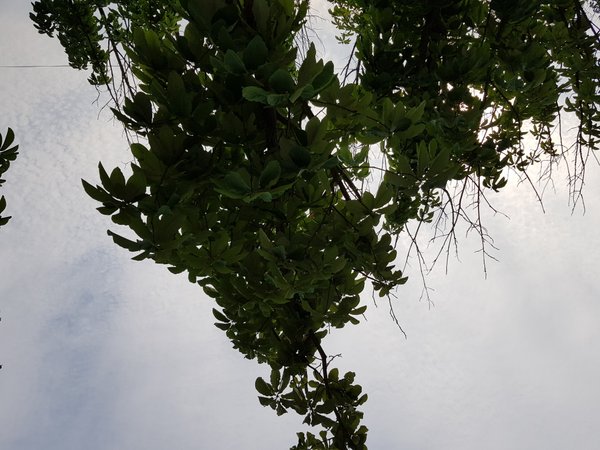20180604_163618.jpg