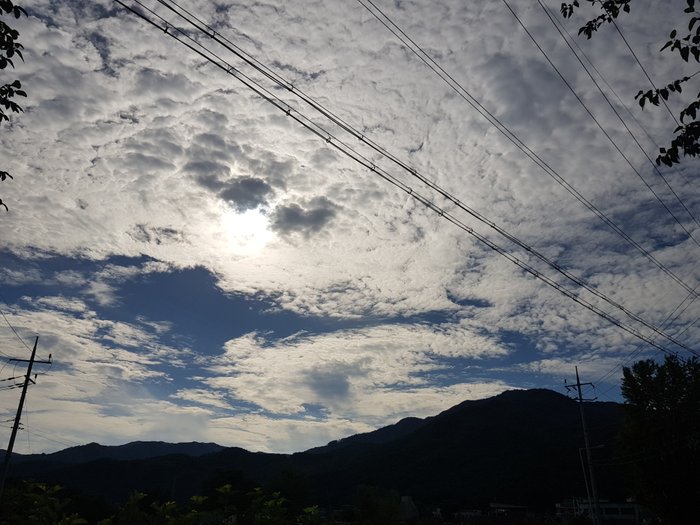 20180819_164137.jpg