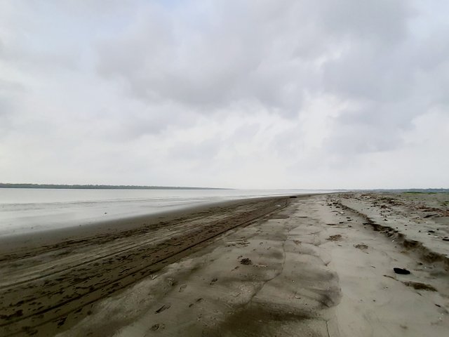 20220602_163141.jpg