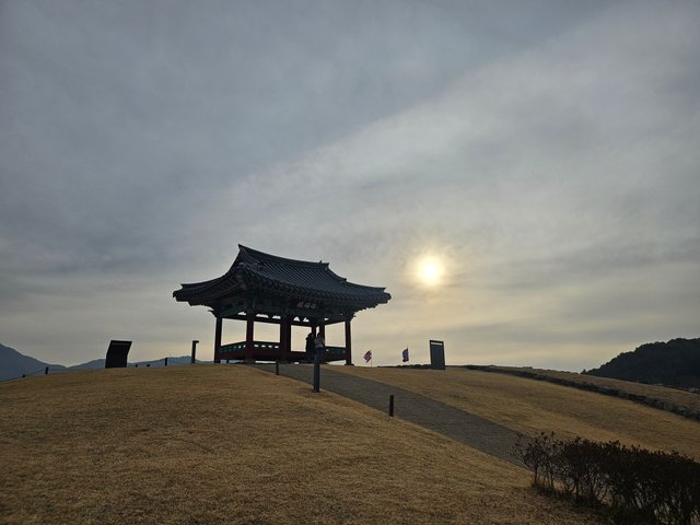 20250118_161453.jpg