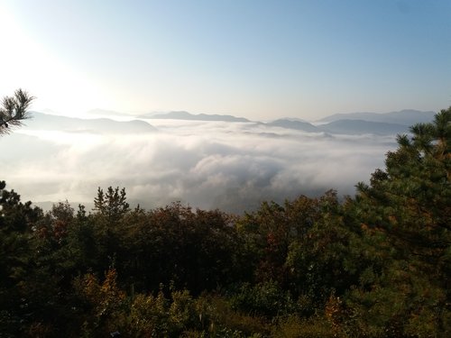 20181020_074033.jpg
