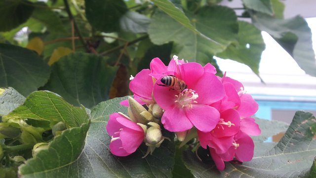 20171106_122953.jpg