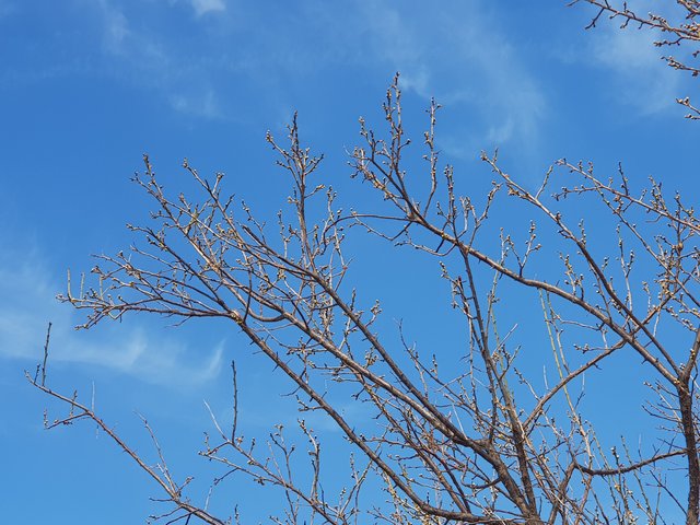 20210224_122148.jpg