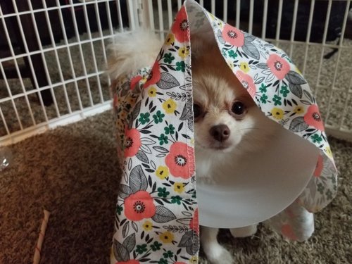 20180812_225034.jpg