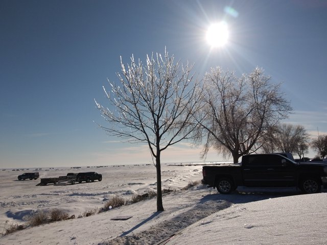20190209_101229.jpg