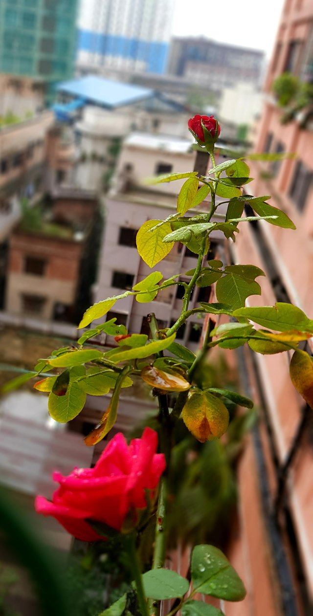 20220814_183108.jpg