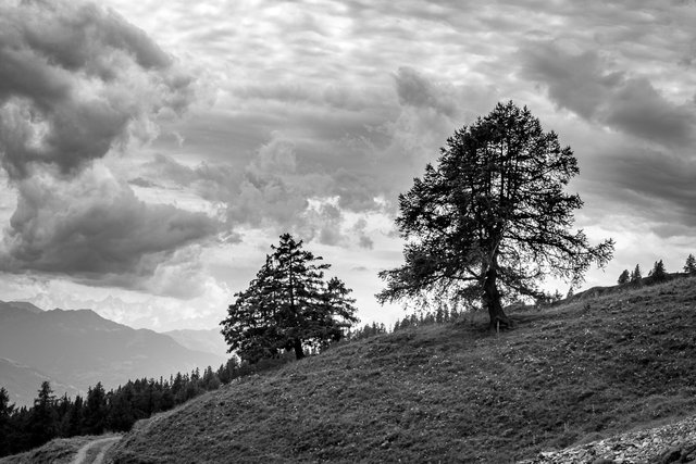 LK-200907241414.jpg