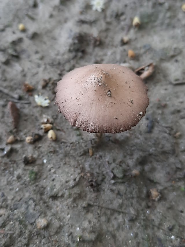 20220807_152155.jpg