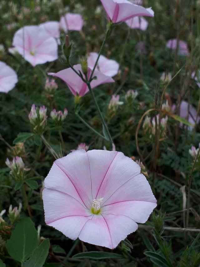 20180719_112453.jpg