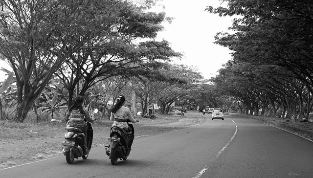 DSC00249 a-ii.jpg