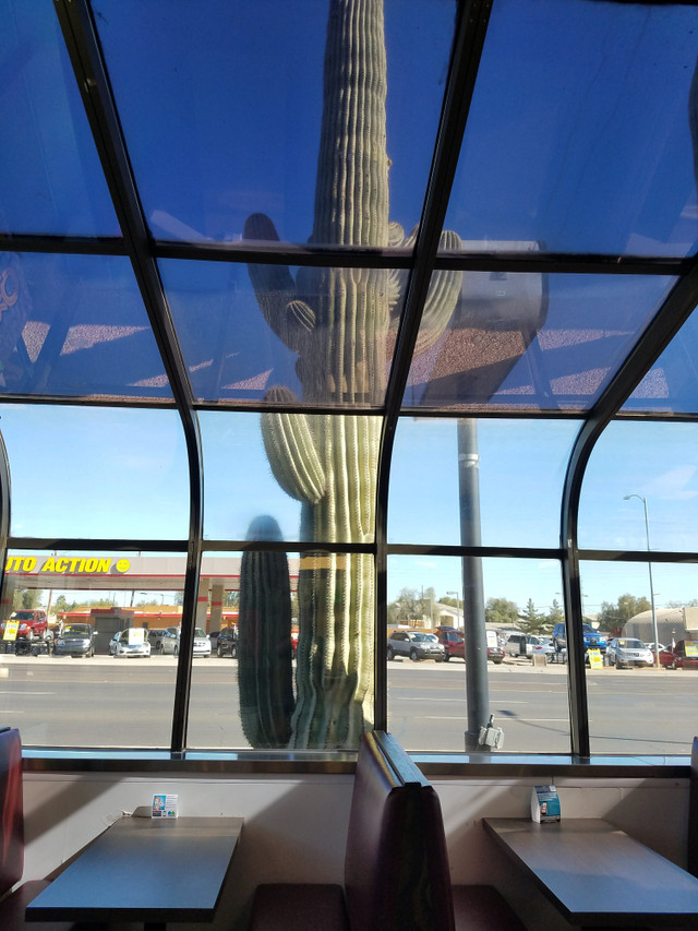20180131_134907.jpg