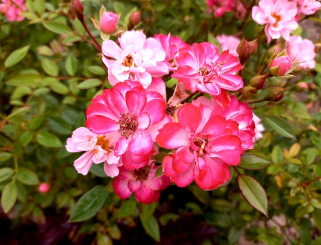 20220914_135316.jpg