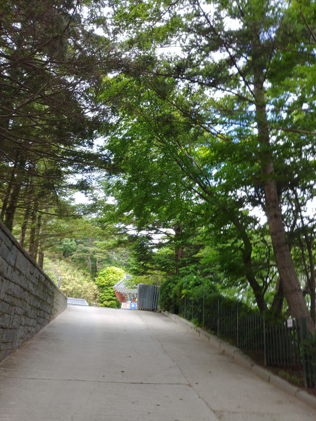 20180520_112921.jpg