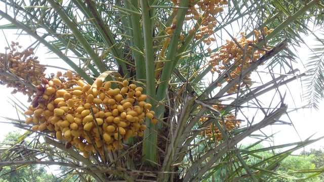 20180619_114523.jpg
