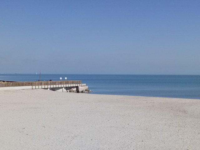 20190112_132837.jpg