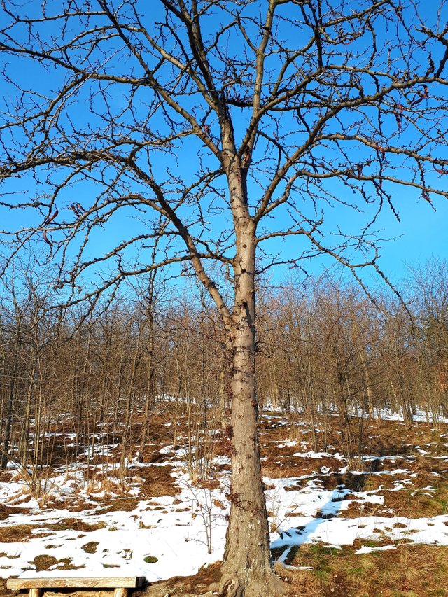 20181225_221457.jpg
