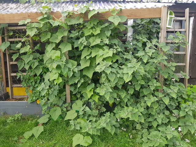 20180909_124305.jpg